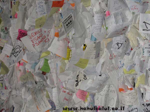 29216_405219416029_325682_n