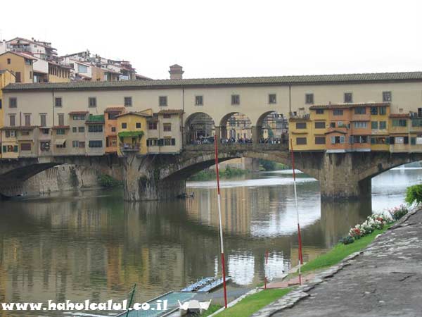 florence6