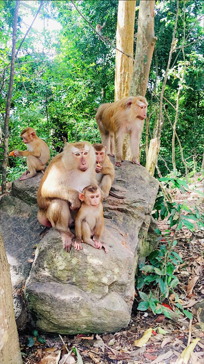 %d7%94%d7%a8-%d7%94%d7%a7%d7%95%d7%a4%d7%99%d7%9d