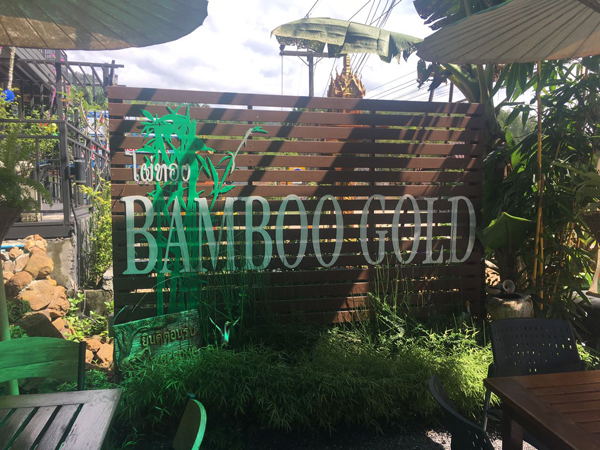 bamboo